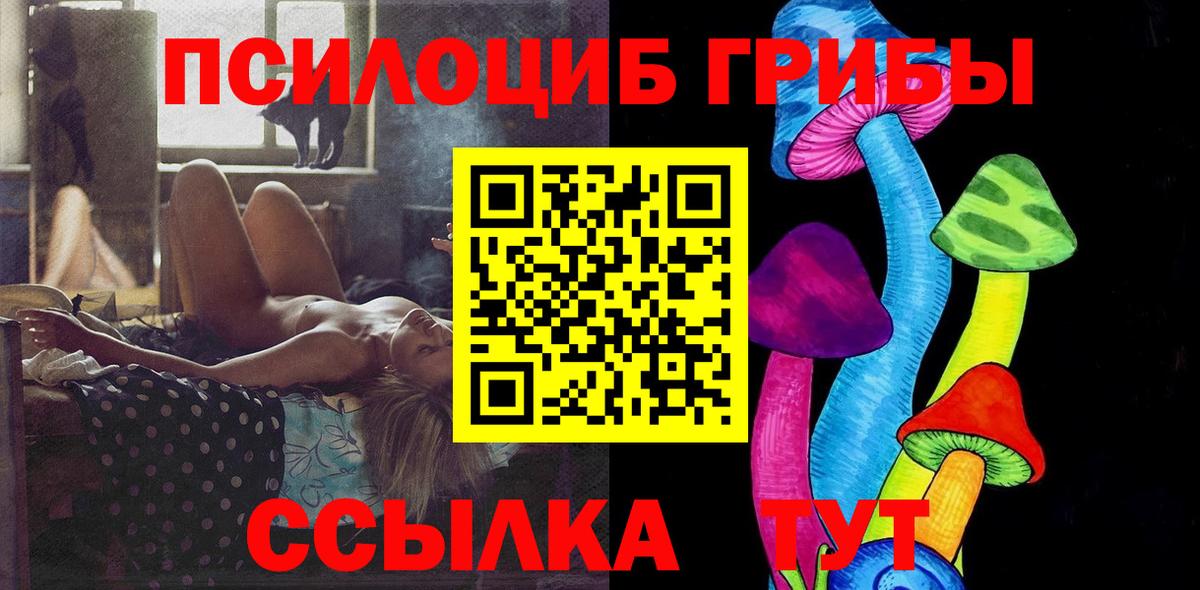 цены наркотик  Псилоцибиновые грибы Cubensis  Вход с VPN  Сухой Лог 